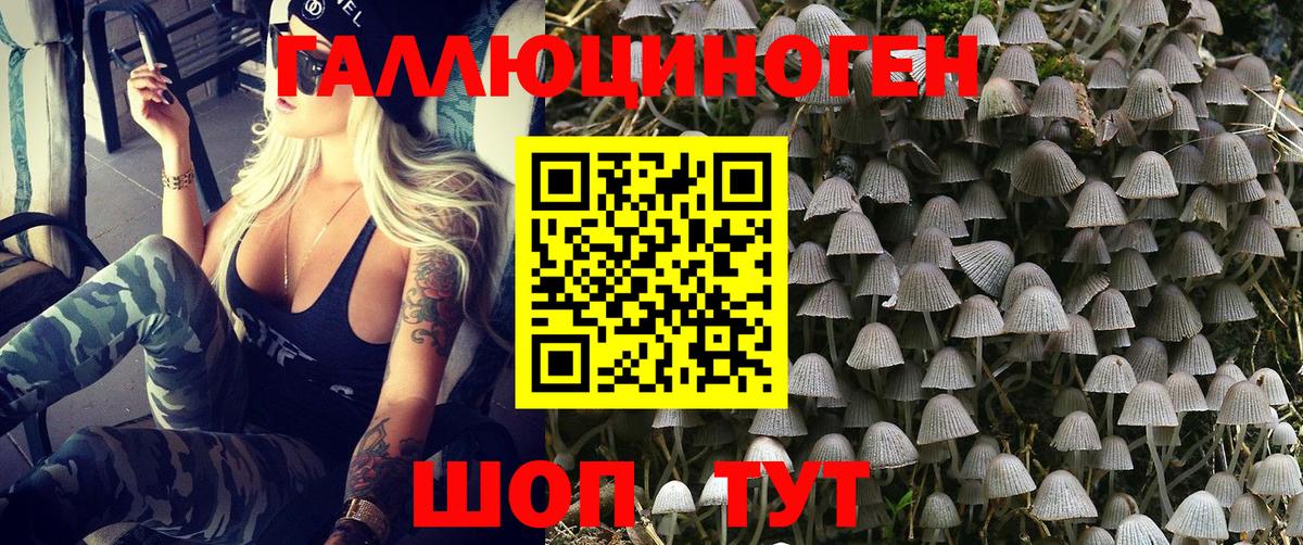 Галлюциногенные грибы ЛСД Фрязино