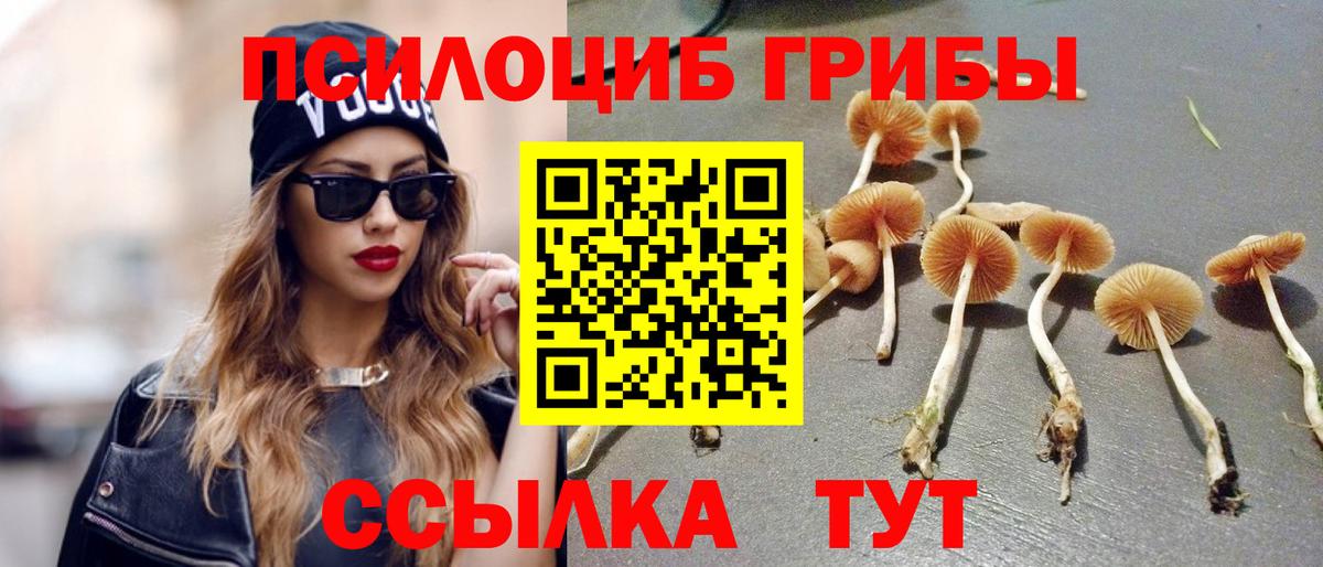 Фрязино  Галлюциногенные грибы Magic Shrooms  Вход с VPN 